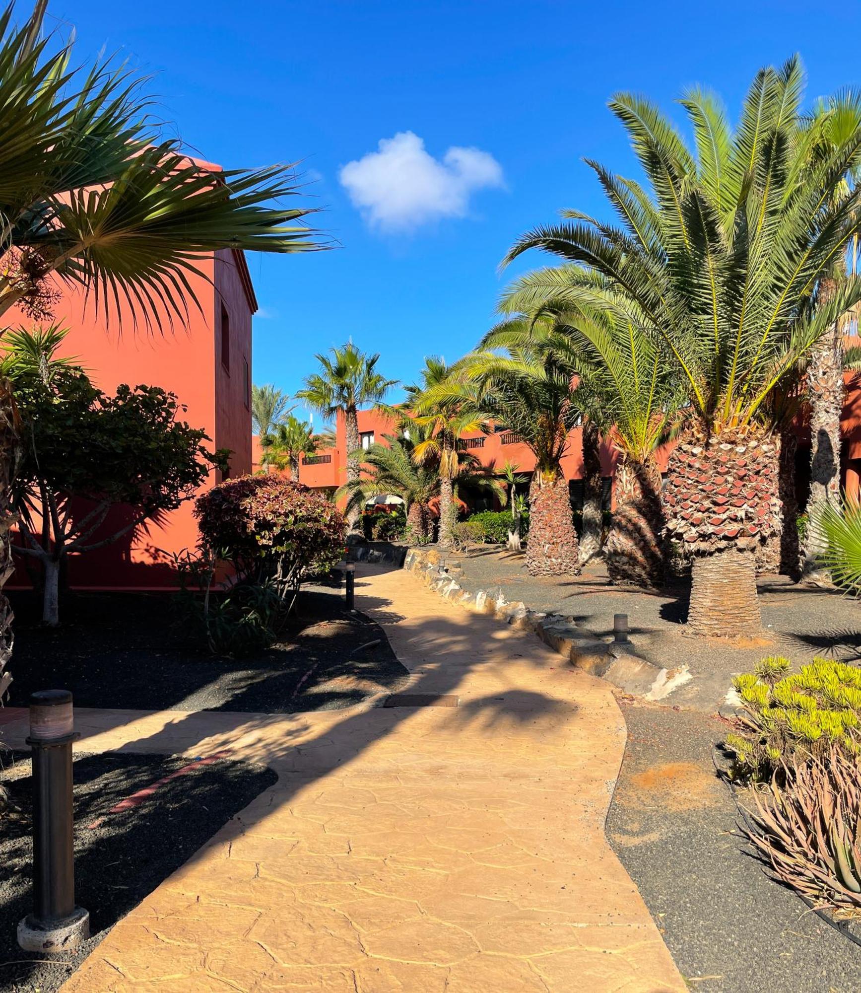Oasis Tamarindo By Best Holidays Fuerteventura Corralejo Exterior photo