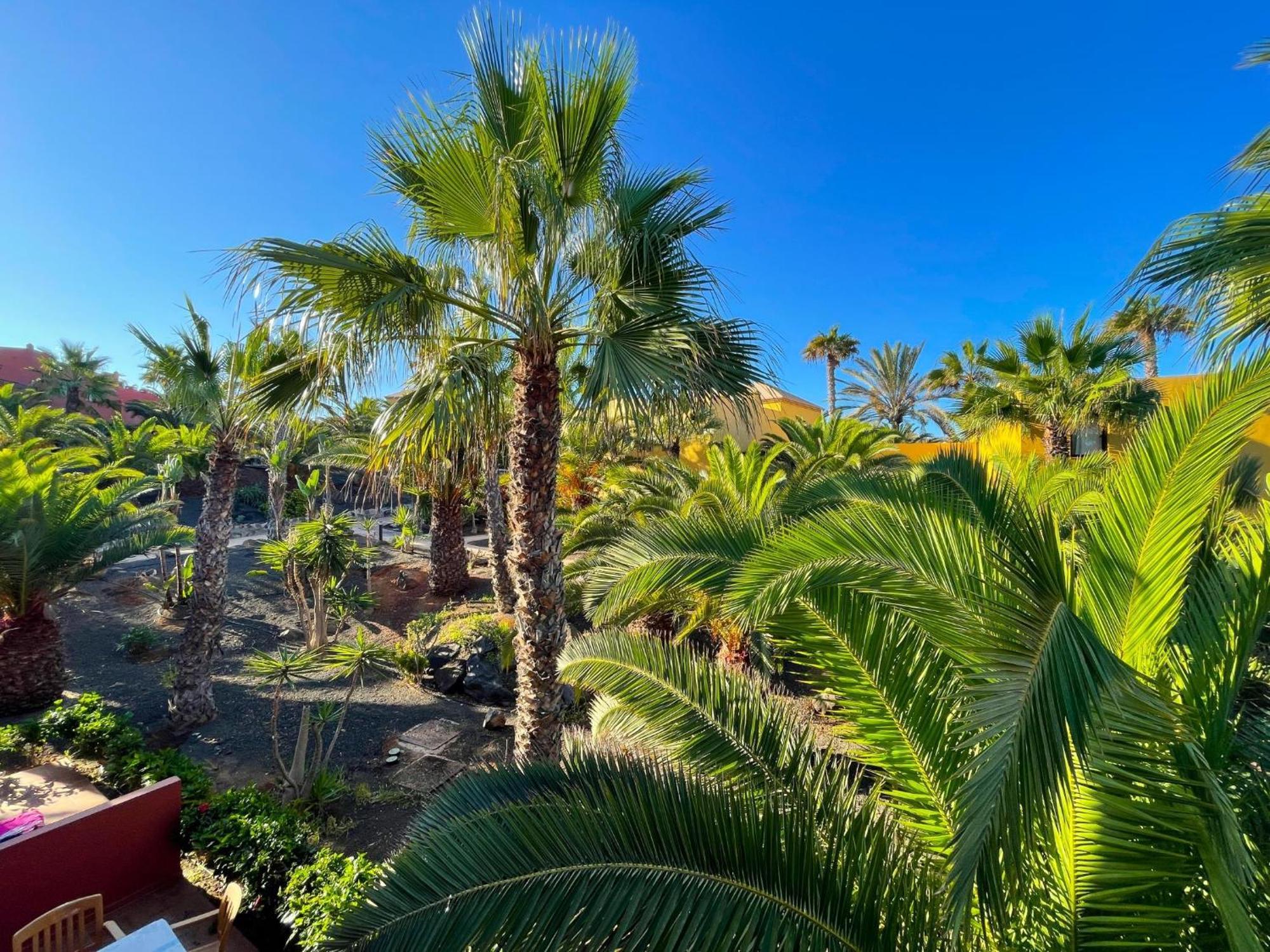 Oasis Tamarindo By Best Holidays Fuerteventura Corralejo Room photo